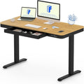 DeskCraft Electric Standing Desk with USB Ports - Premium Home Office Workstation