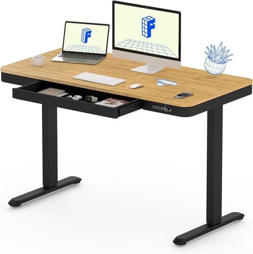 DeskCraft Electric Standing Desk with USB Ports - Premium Home Office Workstation
