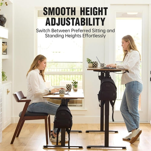 Full Workspace Setup with DeskCraft Electric Standing Desk in Modern Home Office