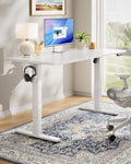 DeskCraft Electric Standing Desk 48in 4-Memory Home Office Workstation